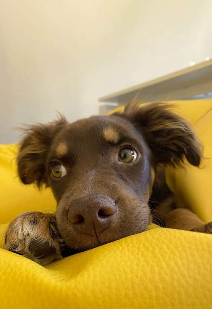 Retrato de Mia