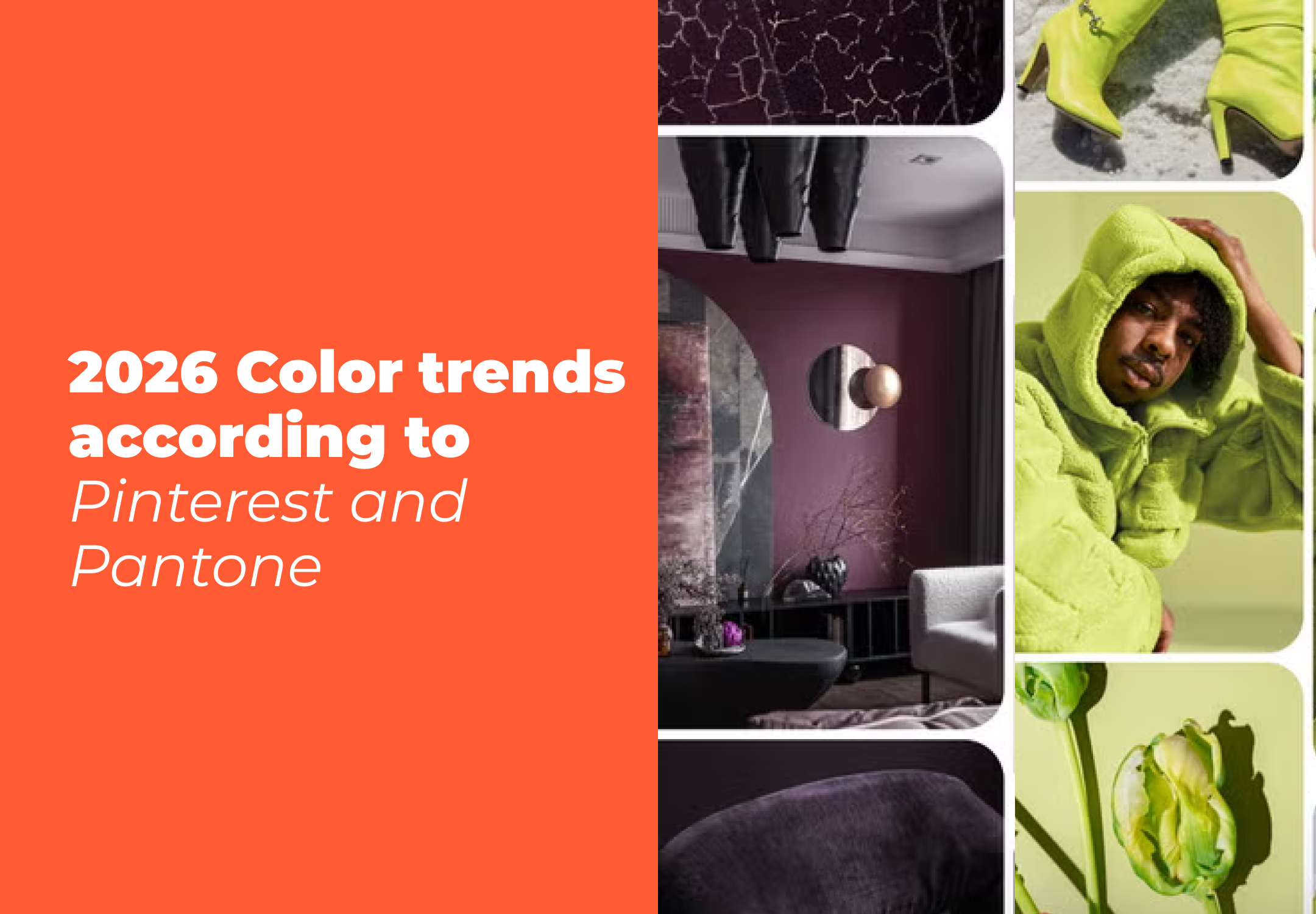 Pinterest palette color trends 2026